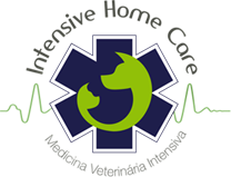 Intensive Home Care